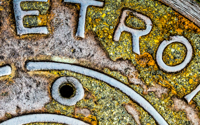 DTU JOURNAL ENTRY 1: NEW ROADS LEAD TO REWARDING LIFE LESSONS IN DETROIT